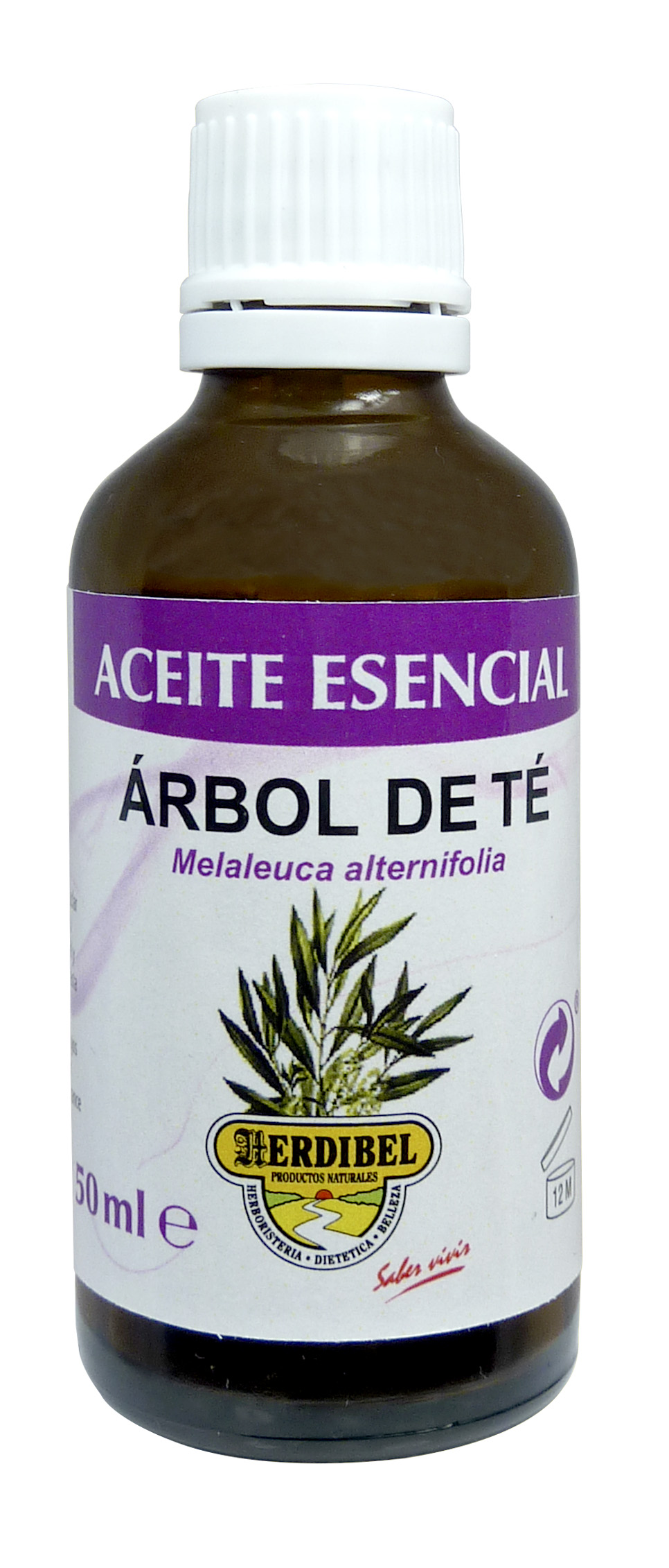 ARBOL-DE-TE-50