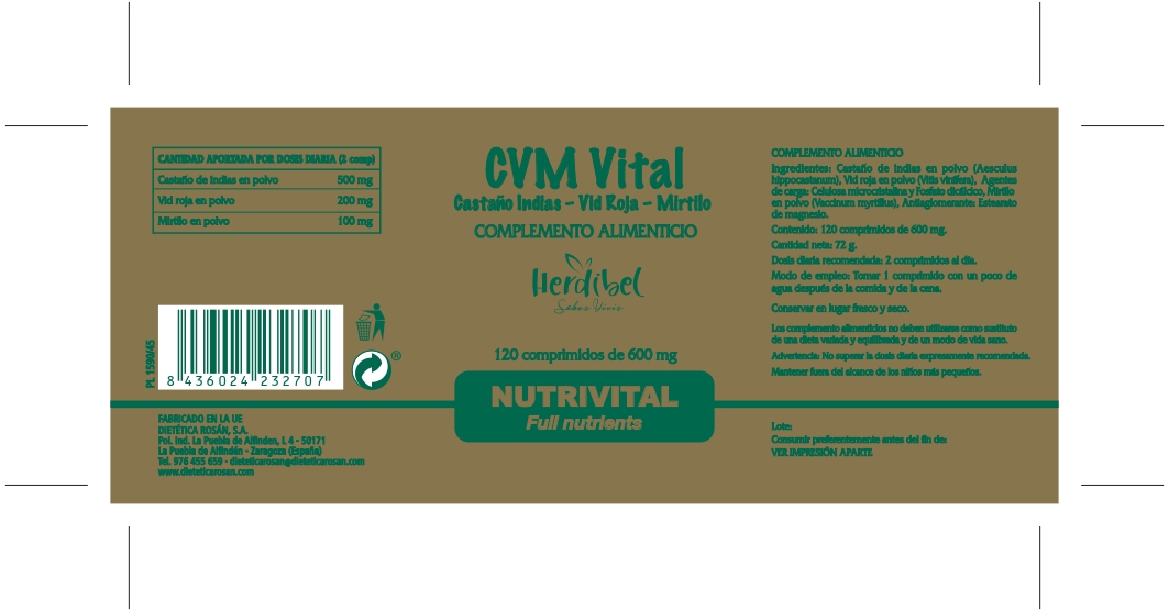 CMVvital_page-0001