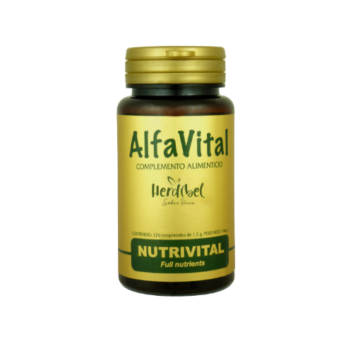 Gold Black Crown x Crown Logo (6)