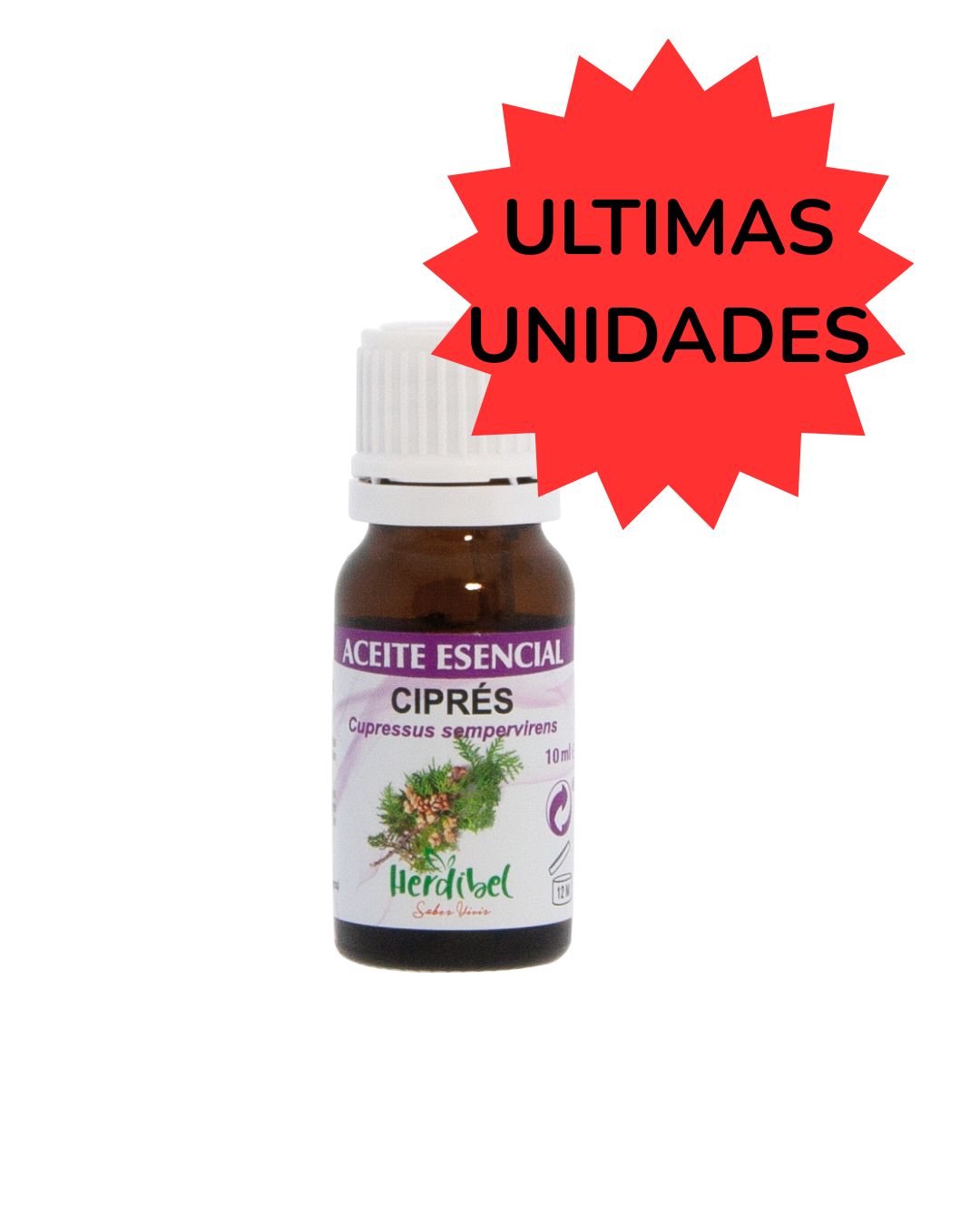 IMAGEN PARA WEB (11)