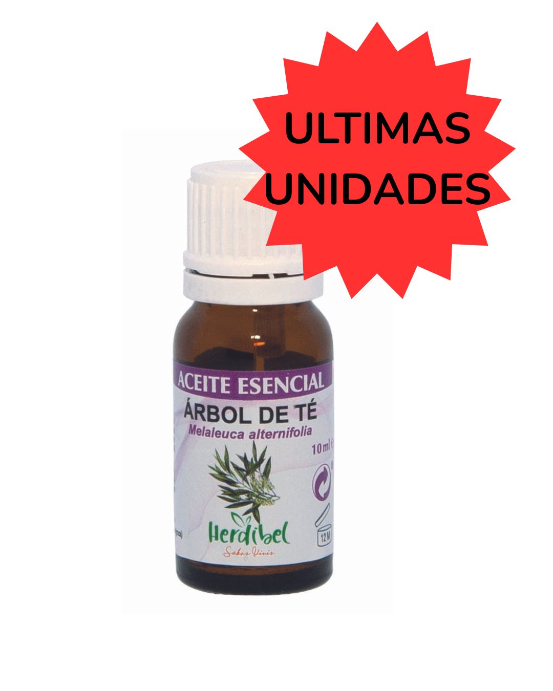 IMAGEN PARA WEB (9)