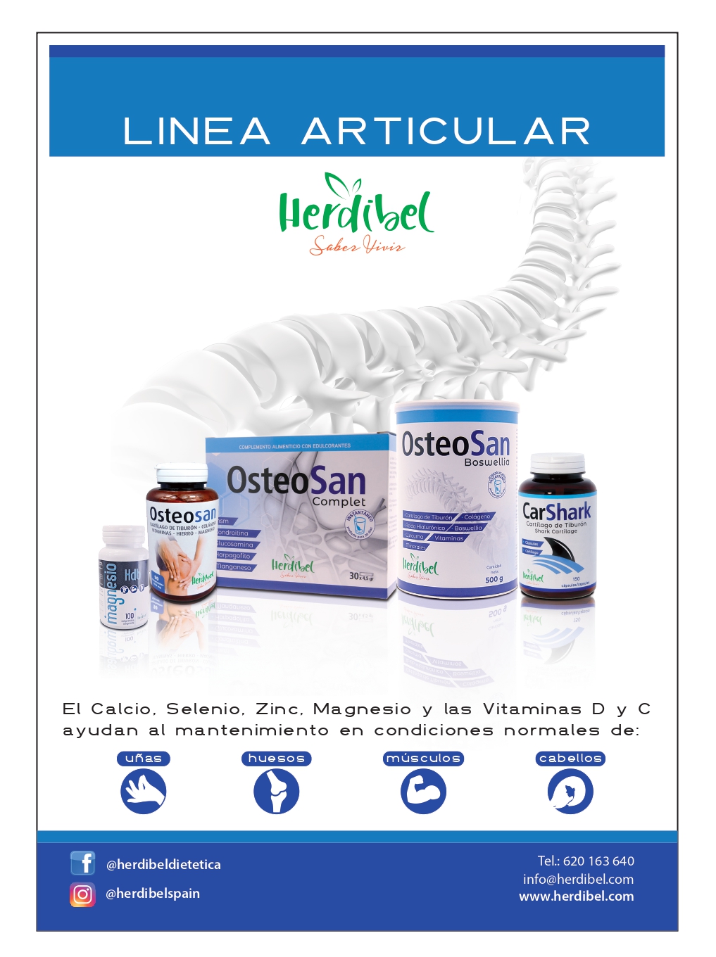 PUBLI A5 LINEA ARTICULAR