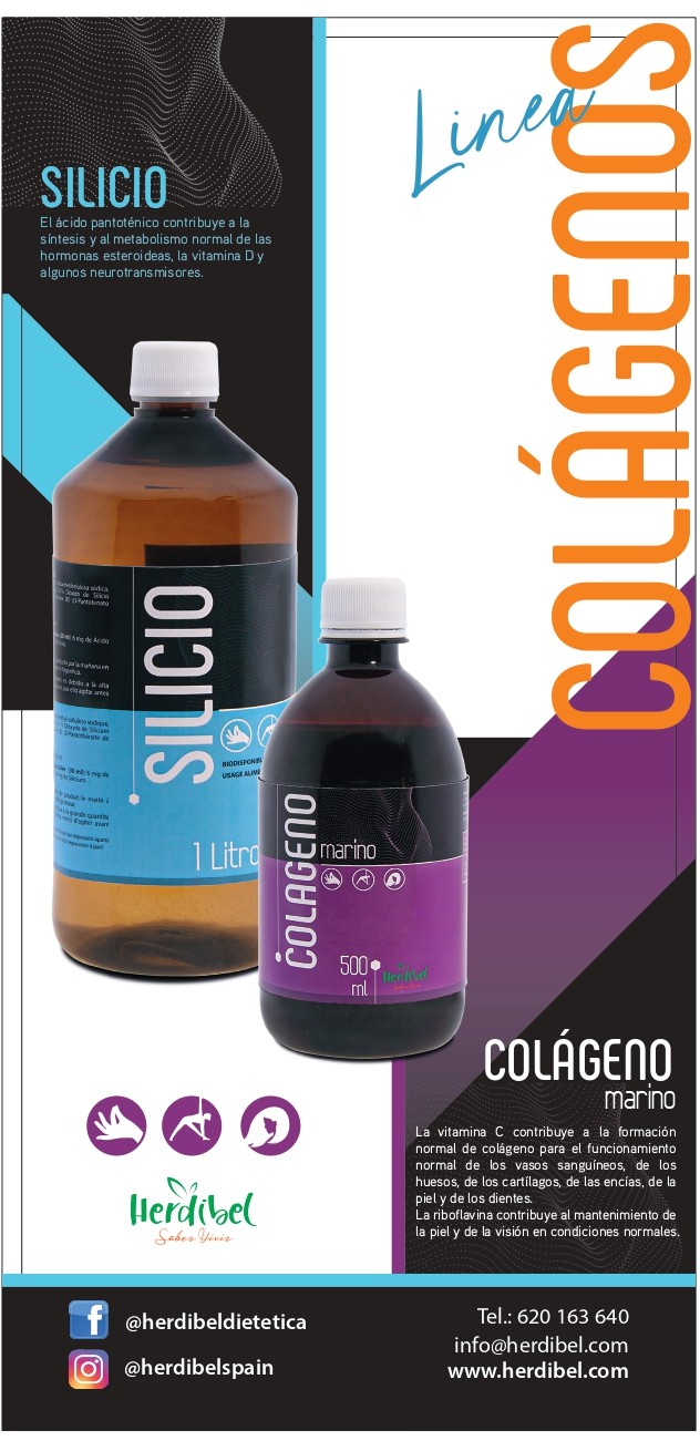 silicio 2