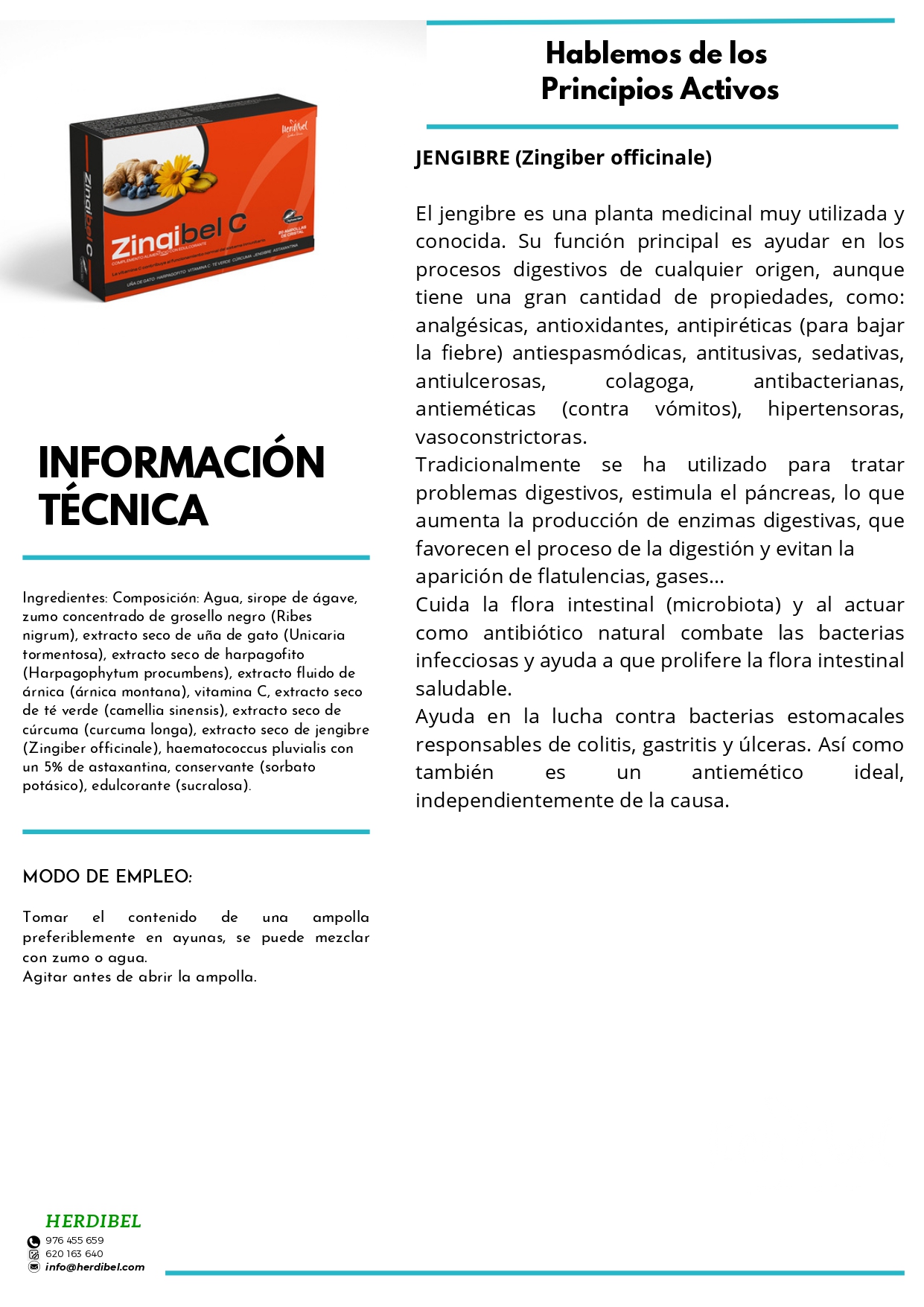 FICHA ZINGIBEL_page-0004