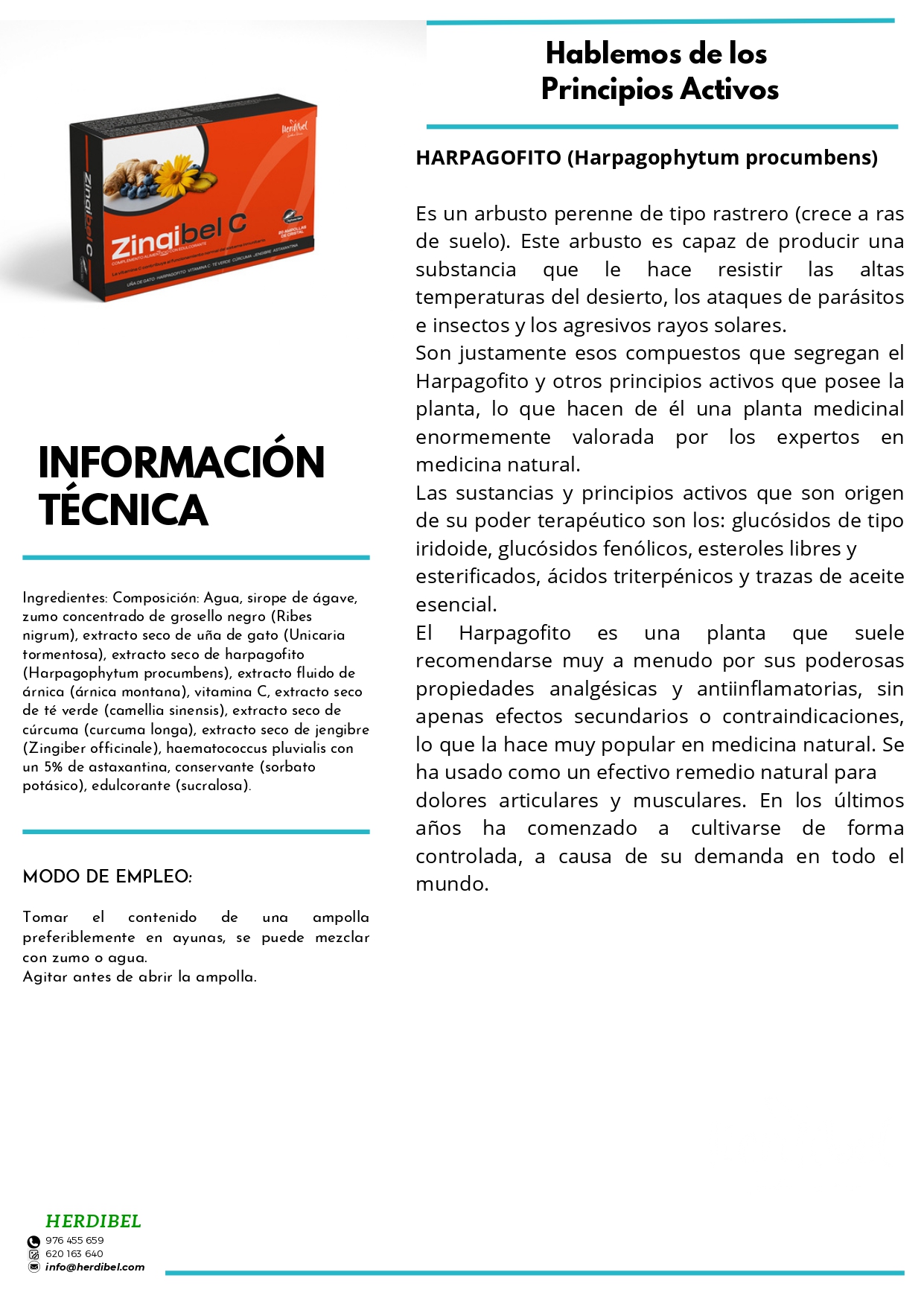 FICHA ZINGIBEL_page-0005