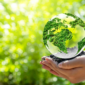 Nuestro compromiso con el medio ambiente